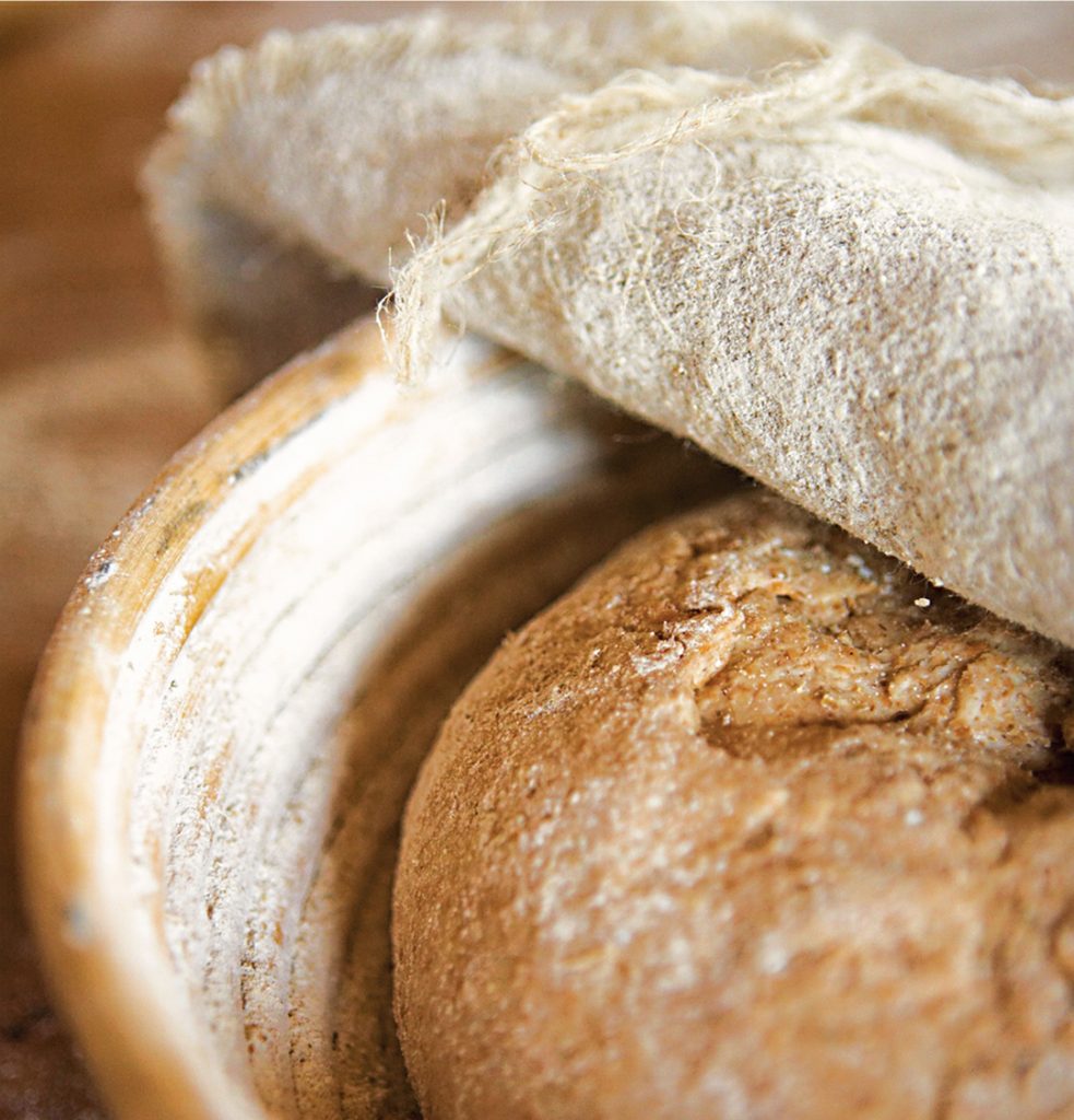 The River Cottage Bread Handbook